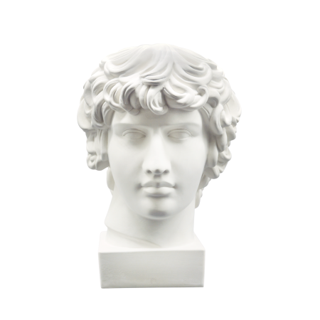 Гипсовая модель Голова Антиноя